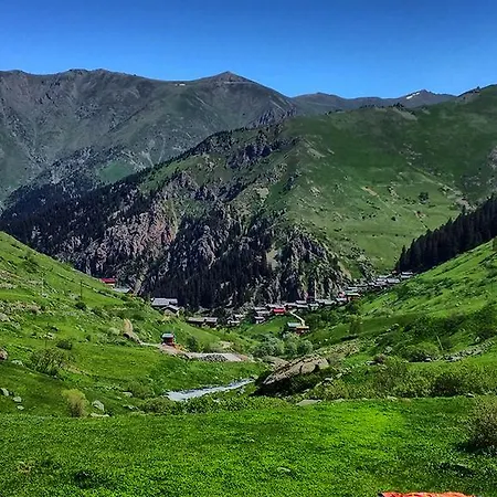 Aydinli *