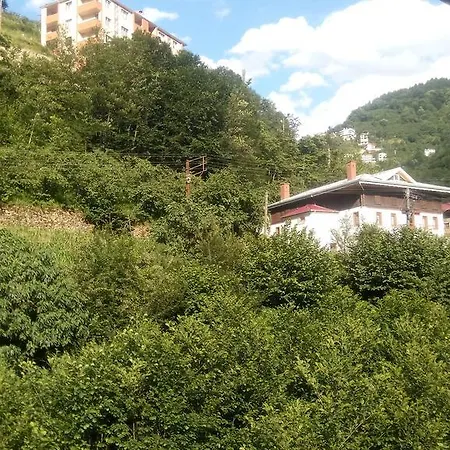 Aydinli Caykara